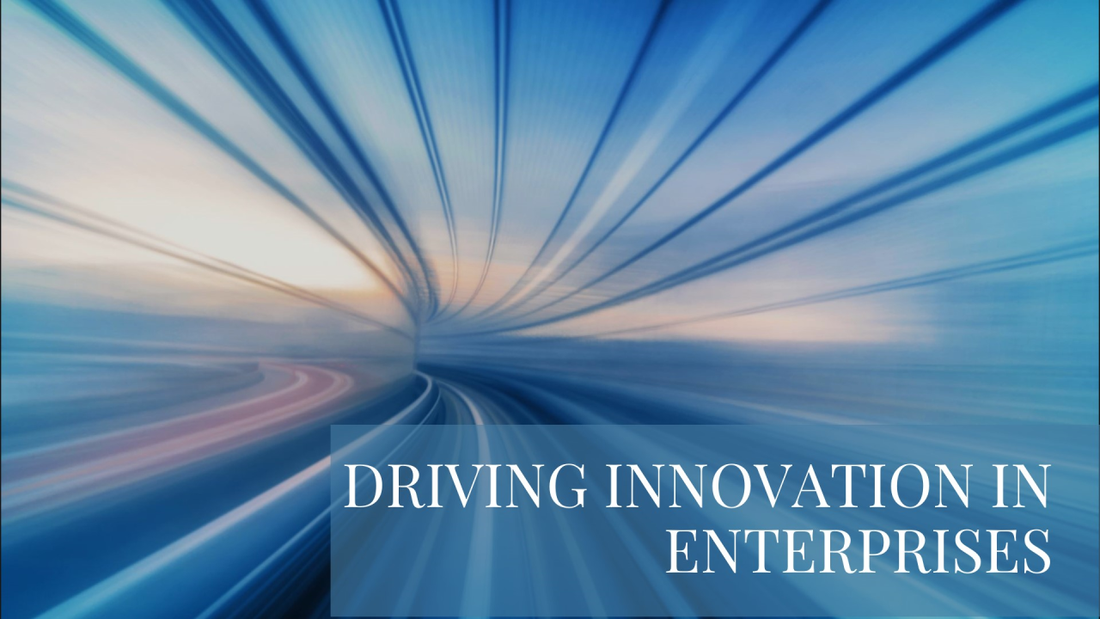 Driving Innovation in Established Enterprises: Lessons from Start-Ups